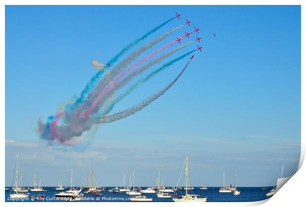 Gull Joins the Red Arrows Print by Roy Curtis