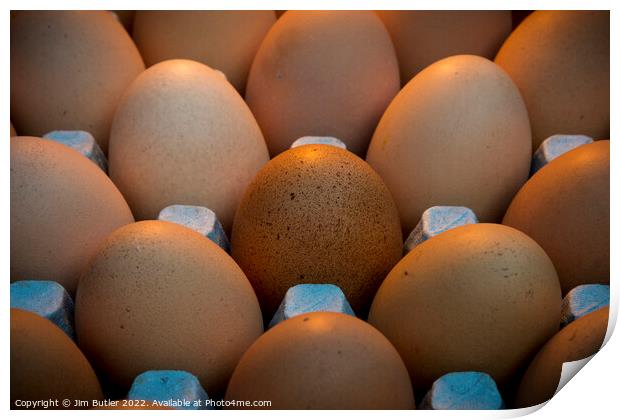 A clutch of eggs Print by Jim Butler