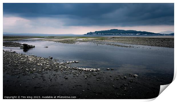 Toward Bute Print by Tim King