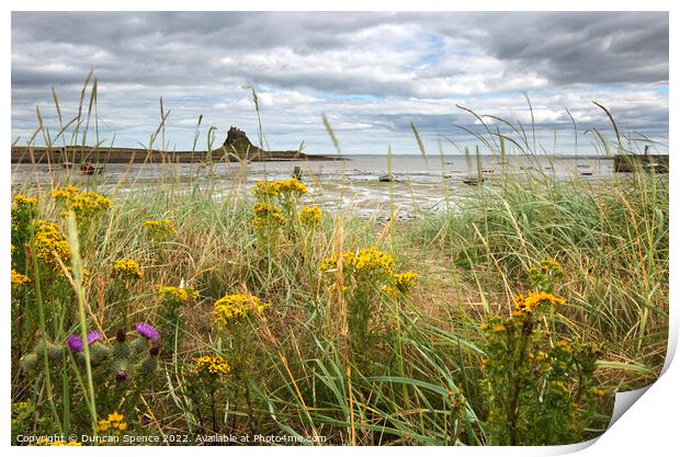 Holy Island in Bloom Print by Duncan Spence