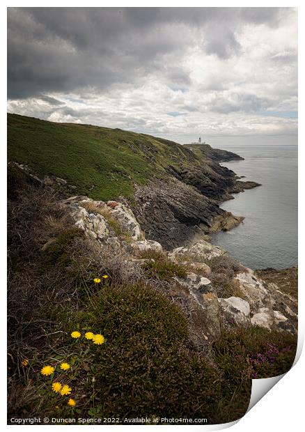 Strumble Head Point Print by Duncan Spence