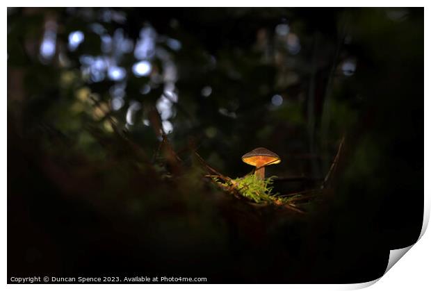 Glowing Mushroom Print by Duncan Spence