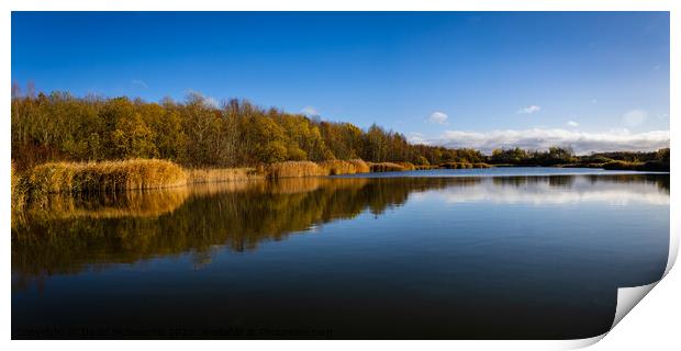 Heron Lake  Print by David McGeachie