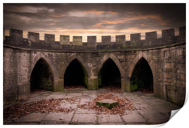 Majestic ruins of Newstead Abbey Print by David McGeachie