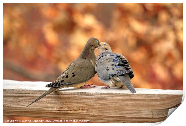 Love Birds Print by Donna Kennedy