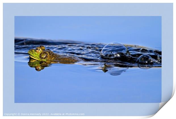 Leap Frog Print by Donna Kennedy