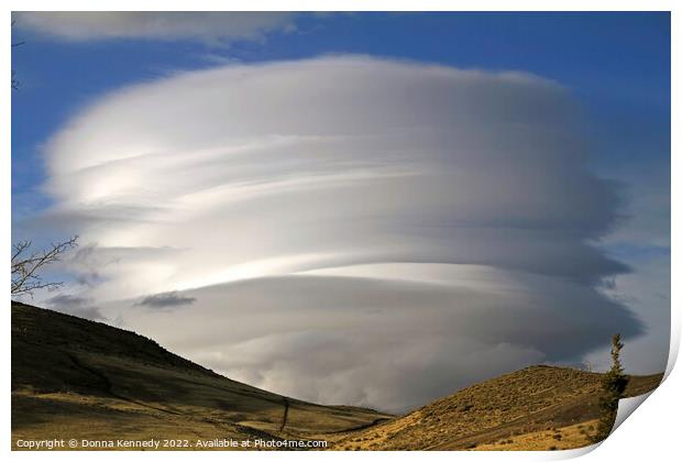Wednesday Lenticulars Print by Donna Kennedy