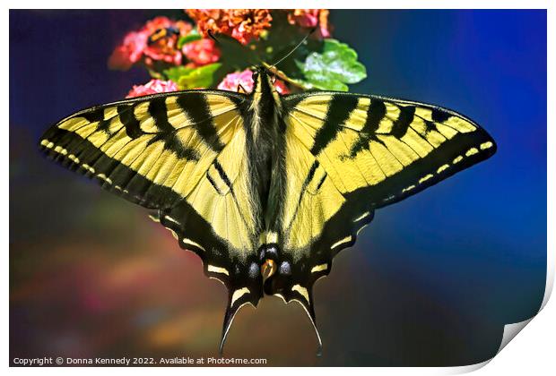 Swallowtail in Living Color Print by Donna Kennedy