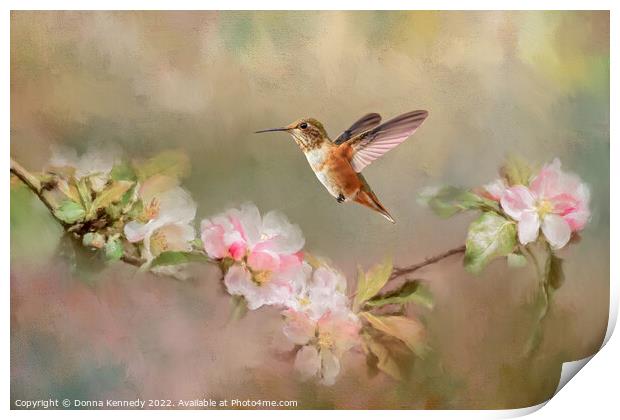 August Rufous Print by Donna Kennedy