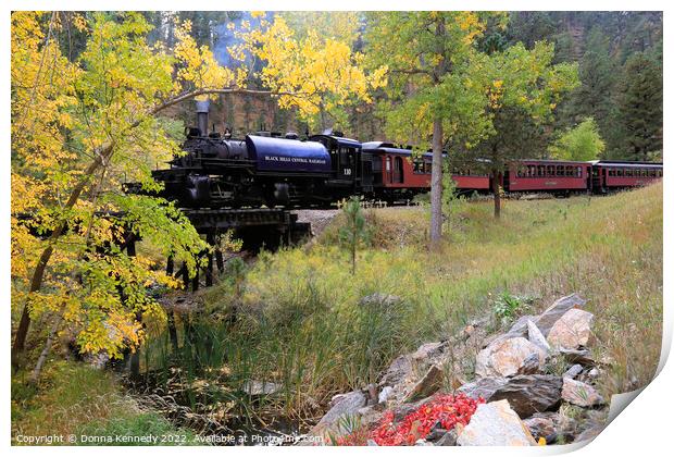 Black Hills Central Railroad Print by Donna Kennedy
