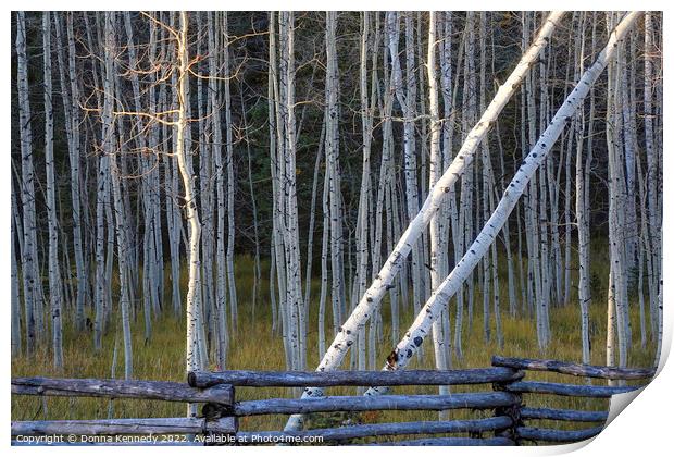 A Few Rays of Light Print by Donna Kennedy