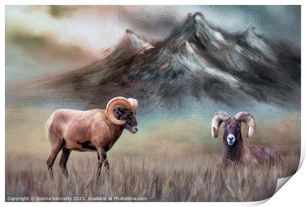 Two Big Horn Sheep Print by Donna Kennedy