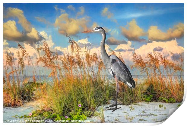 Heron on Gasparilla Island  Print by Donna Kennedy