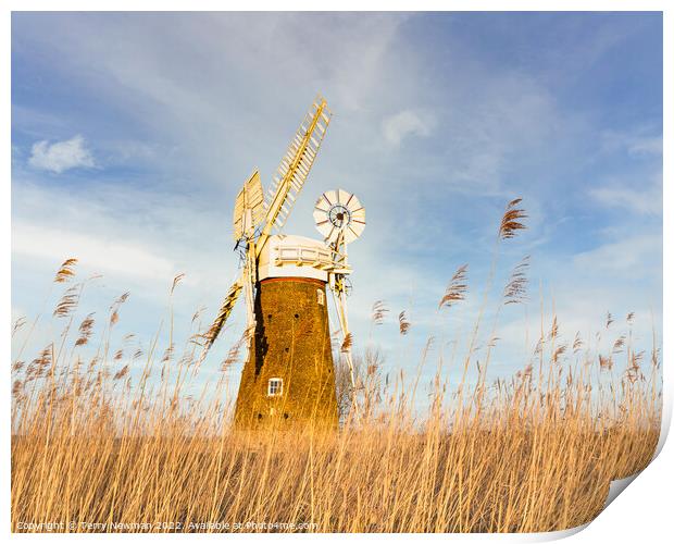 Majestic Hardley Mill in the Norfolk Countryside Print by Terry Newman