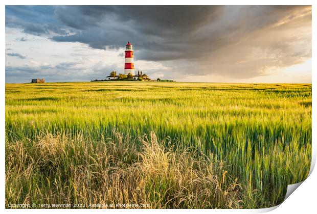 Happisburgh Lighthouse at Sunset Print by Terry Newman
