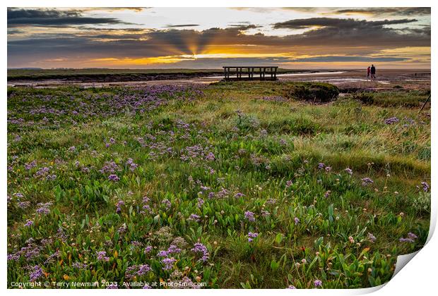 Admiring the View Print by Terry Newman