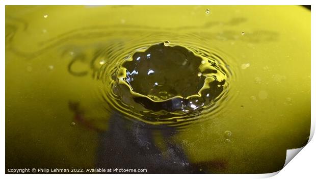 Yellow Background Water Drops (12A) Print by Philip Lehman