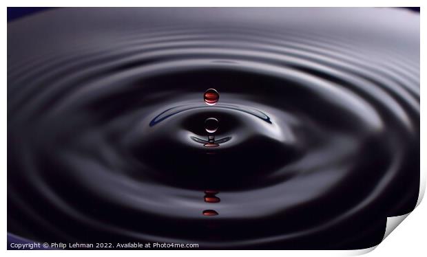 Red Water Drops (33A) Print by Philip Lehman