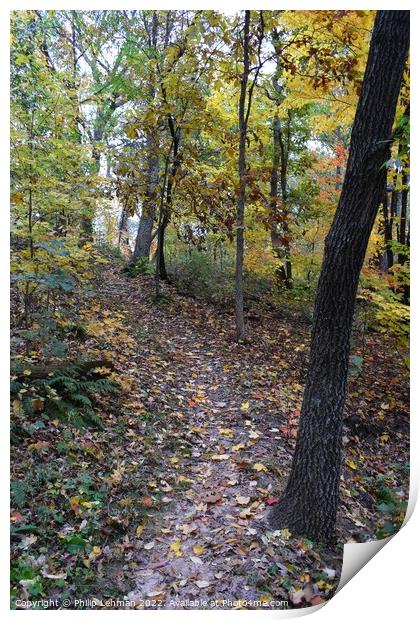 Fall Colors Donald Park Oct 17th (64A) Print by Philip Lehman