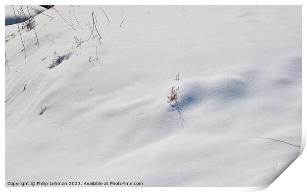 Snowy Landscape (42A) Print by Philip Lehman