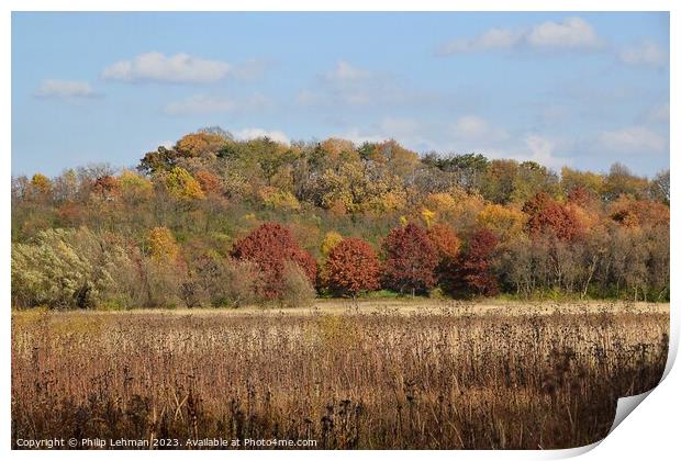 Fall Colors Hiking Trail 2A Print by Philip Lehman