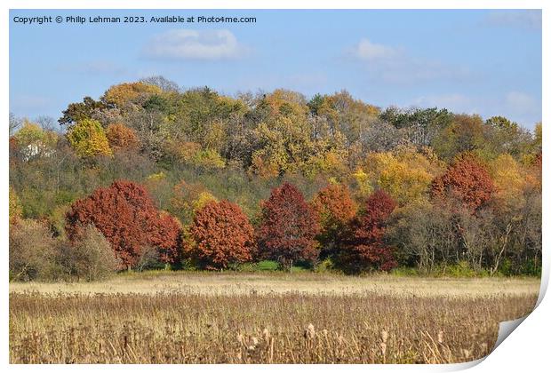 Fall Colors Hiking Trail 5A Print by Philip Lehman