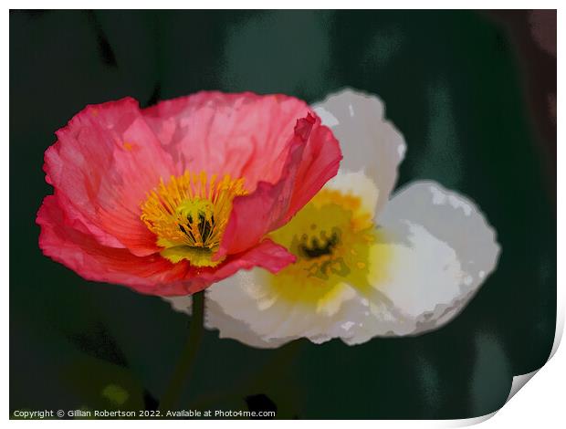 Poppies Print by Gillian Robertson