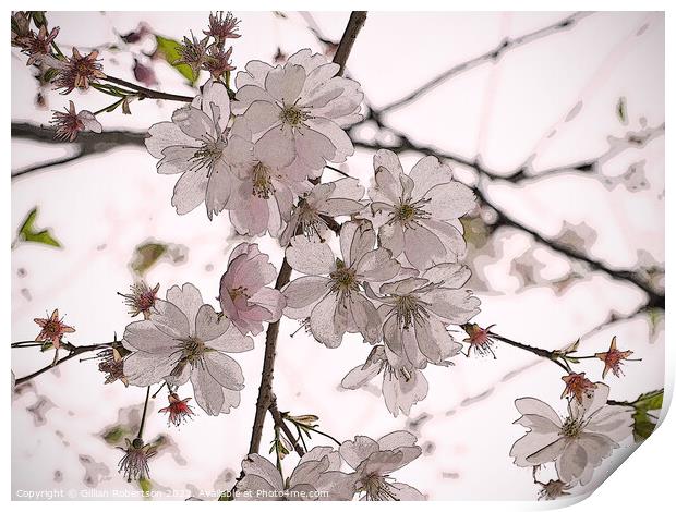 Spring Blossom Print by Gillian Robertson