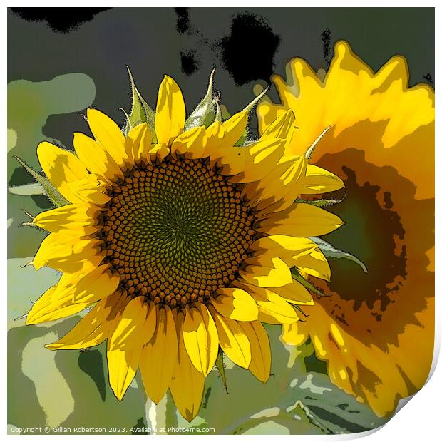 Sunflower Portrait Print by Gillian Robertson