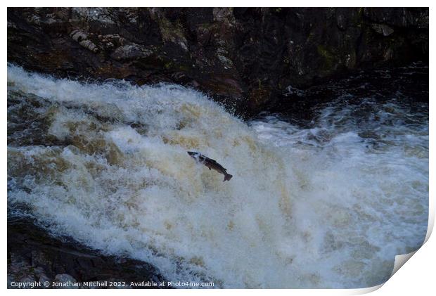 Atlantic salmon leap Shin Falls Sutherland Scotland Print by Jonathan Mitchell