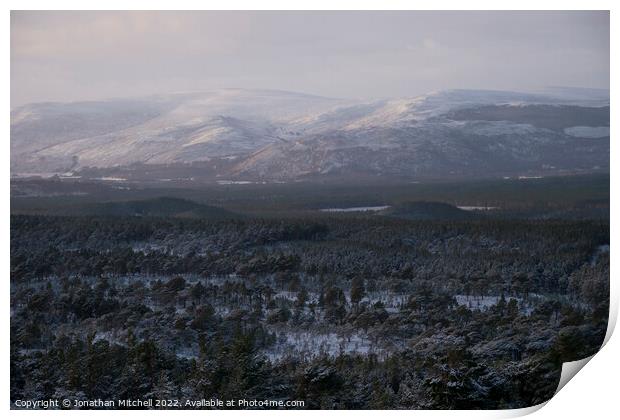Glenmore Forest Park, Cairngorms, Scotland, 2019 Print by Jonathan Mitchell