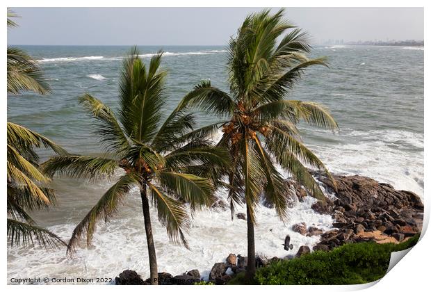 Coconut laden palms at the water's edge near Colombo, Sri Lanka Print by Gordon Dixon