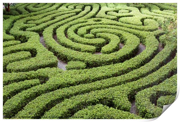 Maze formed from low hedges in a courtyard garden, Kuala Lumpur, Malaysia Print by Gordon Dixon