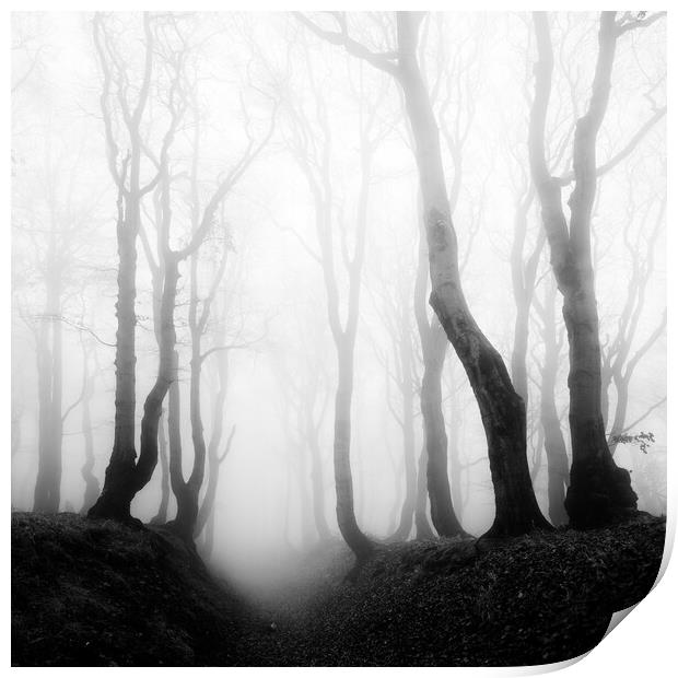 Haunted Forest Print by Andreas Vitting