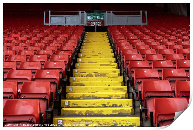 Rows of seats in Anfield Stadium Print by Eszter Imrene Virt