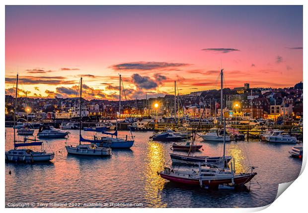 Scarborough Harbour sunset Print by Tony Millward