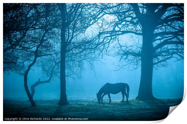Horse in Morning Mist Print by Chris Richards