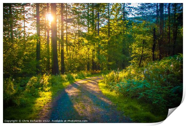 Cwm Rhaeadr Forest Print by Chris Richards