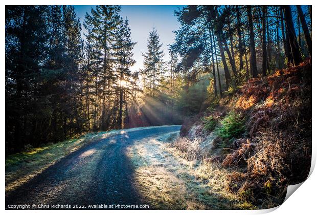 Frosty Morning in Brechfa Forest, Carmarthenshire Print by Chris Richards