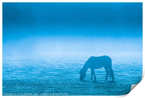 New Forest Pony Grazing in Morning Mist Print by Chris Richards