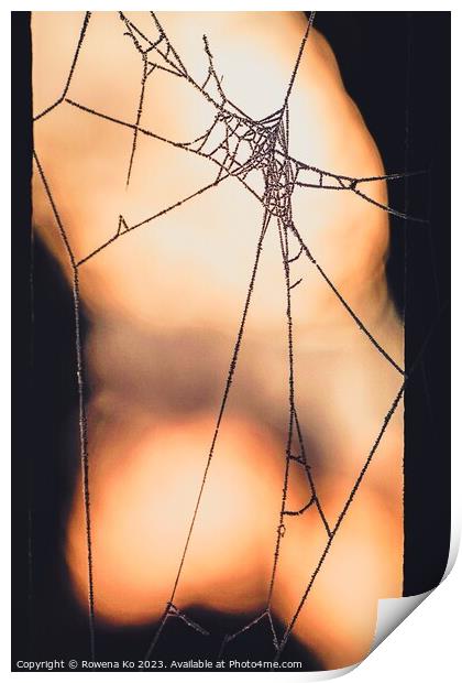 Frosty spider web in a Winter Morning Print by Rowena Ko