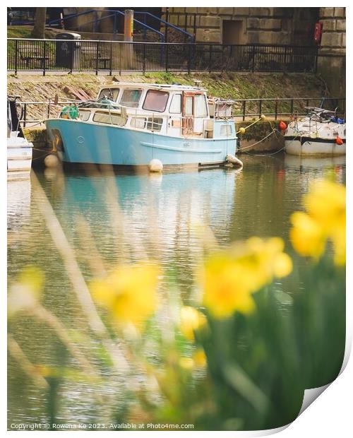 Daffodils by the River Avon  Print by Rowena Ko