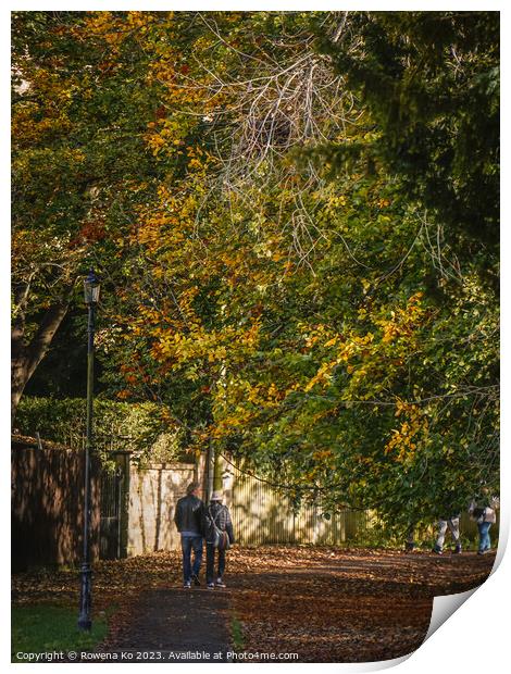 Fall mood photo of cotswold city Bath in Autumn Print by Rowena Ko