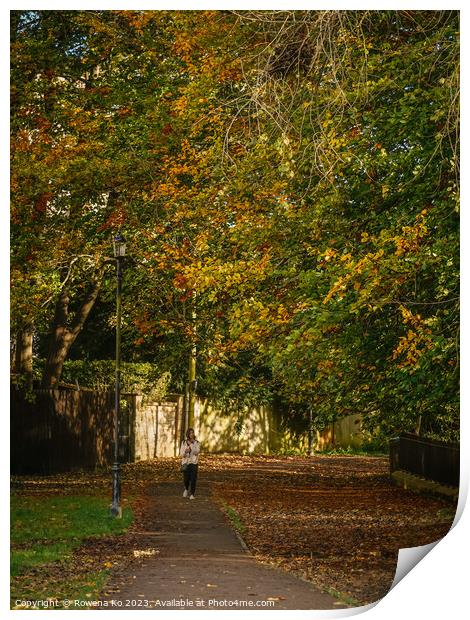 Fall mood photo of cotswold city Bath in Autumn Print by Rowena Ko
