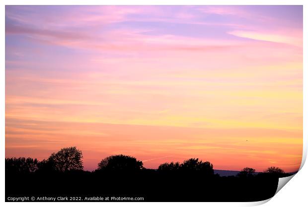 Treeline Sunset Print by Anthony Clark