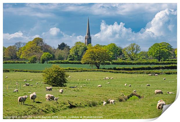 St Mary's Church, South Dalton Church, East Yorkshire, in rural setting with sheep. Print by Anthony David Baynes ARPS