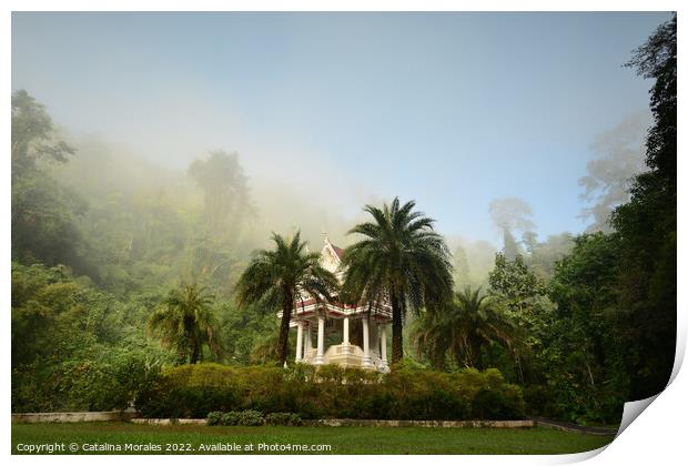 Buddhist shrine in the morning fog Print by Catalina Morales