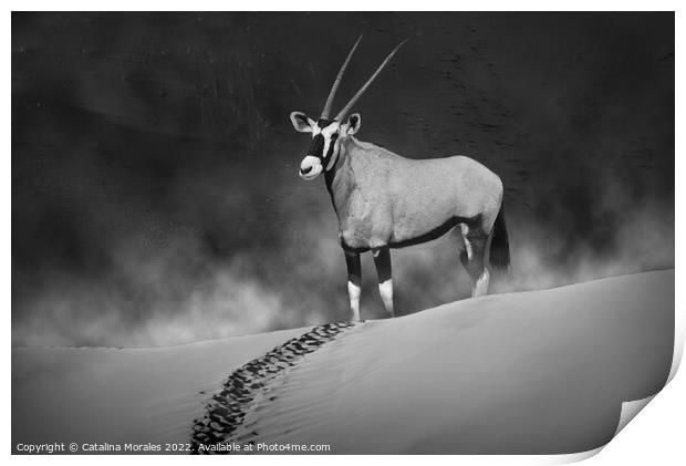 Oryx in the morning mist monochrome Print by Catalina Morales