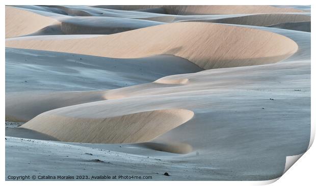 Dunes, lights and colors Print by Catalina Morales