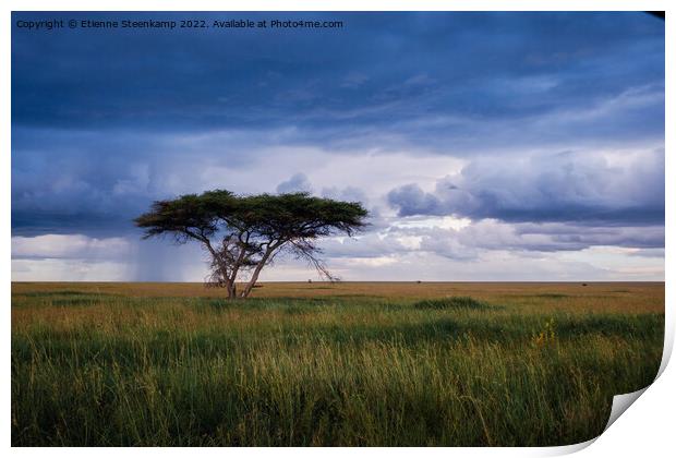 Serengeti rain Print by Etienne Steenkamp